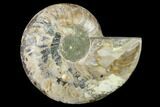 Agatized Ammonite Fossil (Half) - Madagascar #135290-1